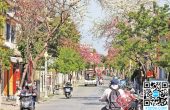 云南各地市场平稳有序 生活日趋正常