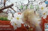 云南：别样春耕图 不负好春光